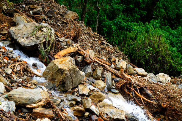wayanad disaster